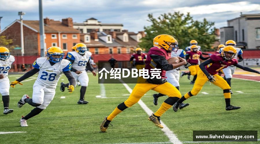 介绍DB电竞